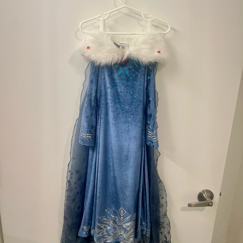 Disney Blue and White Princess Costume